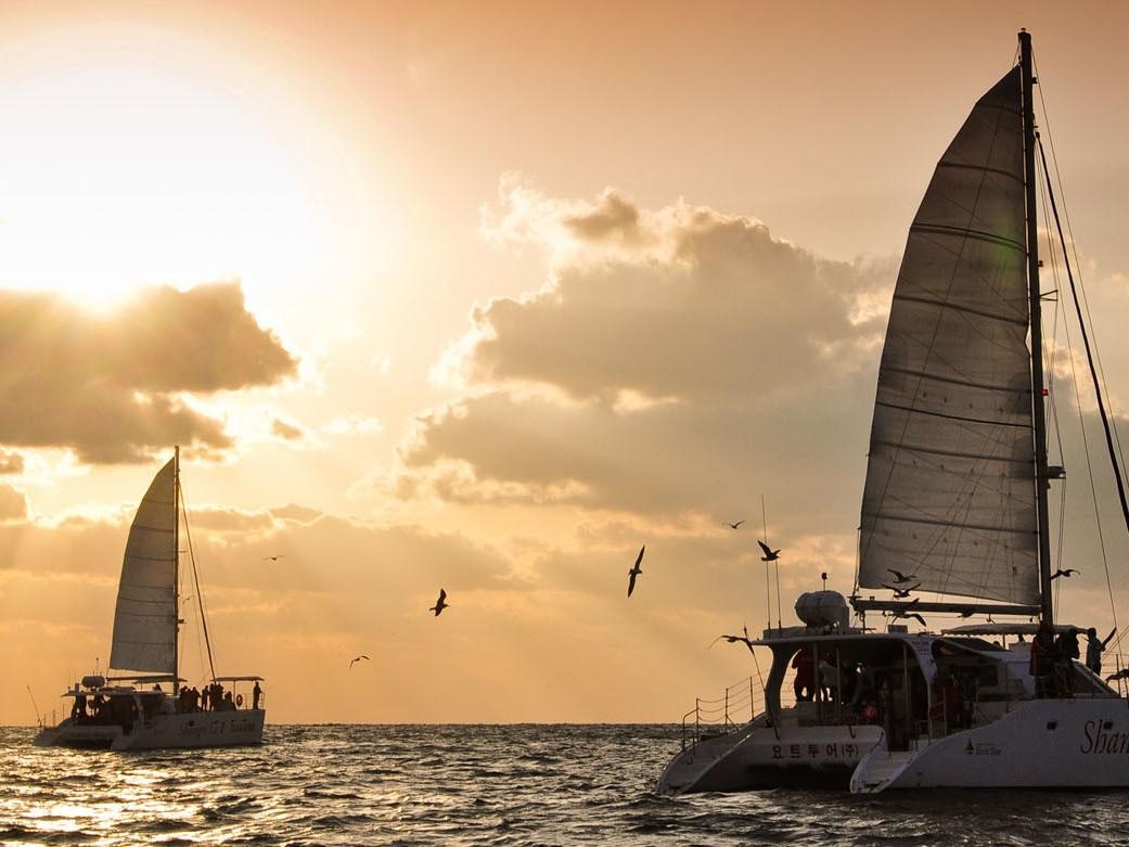 厉害了word思密达！韩国牌子的护肤品and韩国冬天必去景点