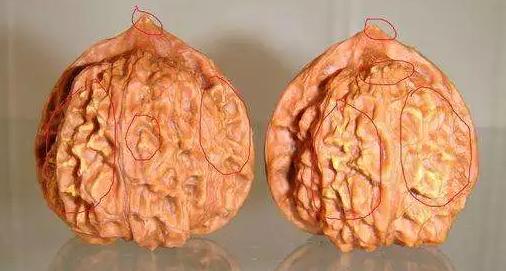 文玩核桃底部有虫眼怎么办,文玩核桃有虫眼什么样