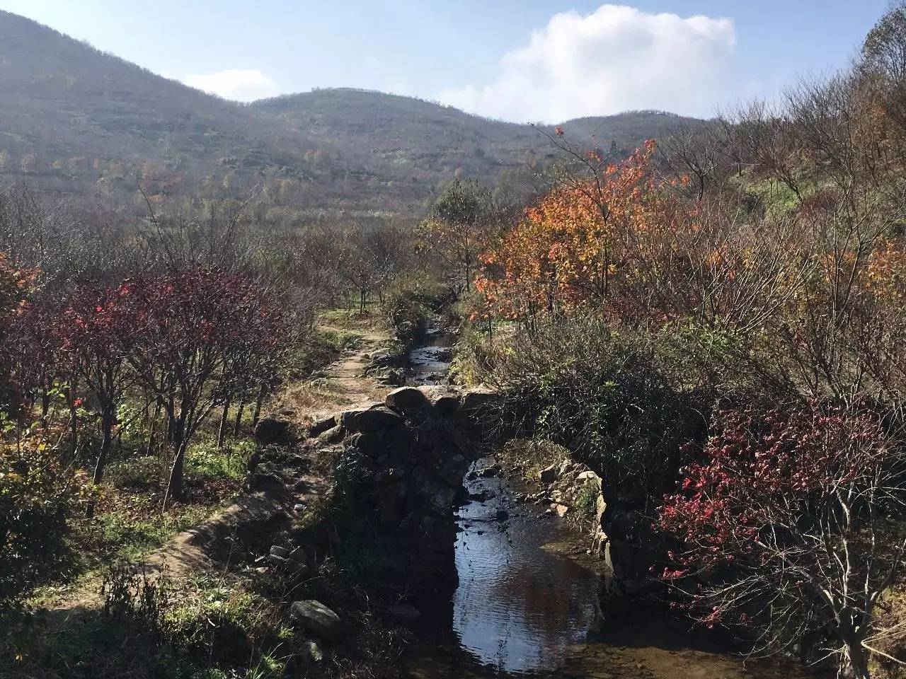 奉化溪口镇栖霞古道,宁波奉化旅游攻略完整版