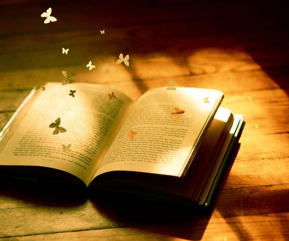 用一朵花开的时间,用一朵花开的时间与你相遇