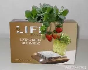 农村冷门小本创业生意,最有前景的10个农村创业点子