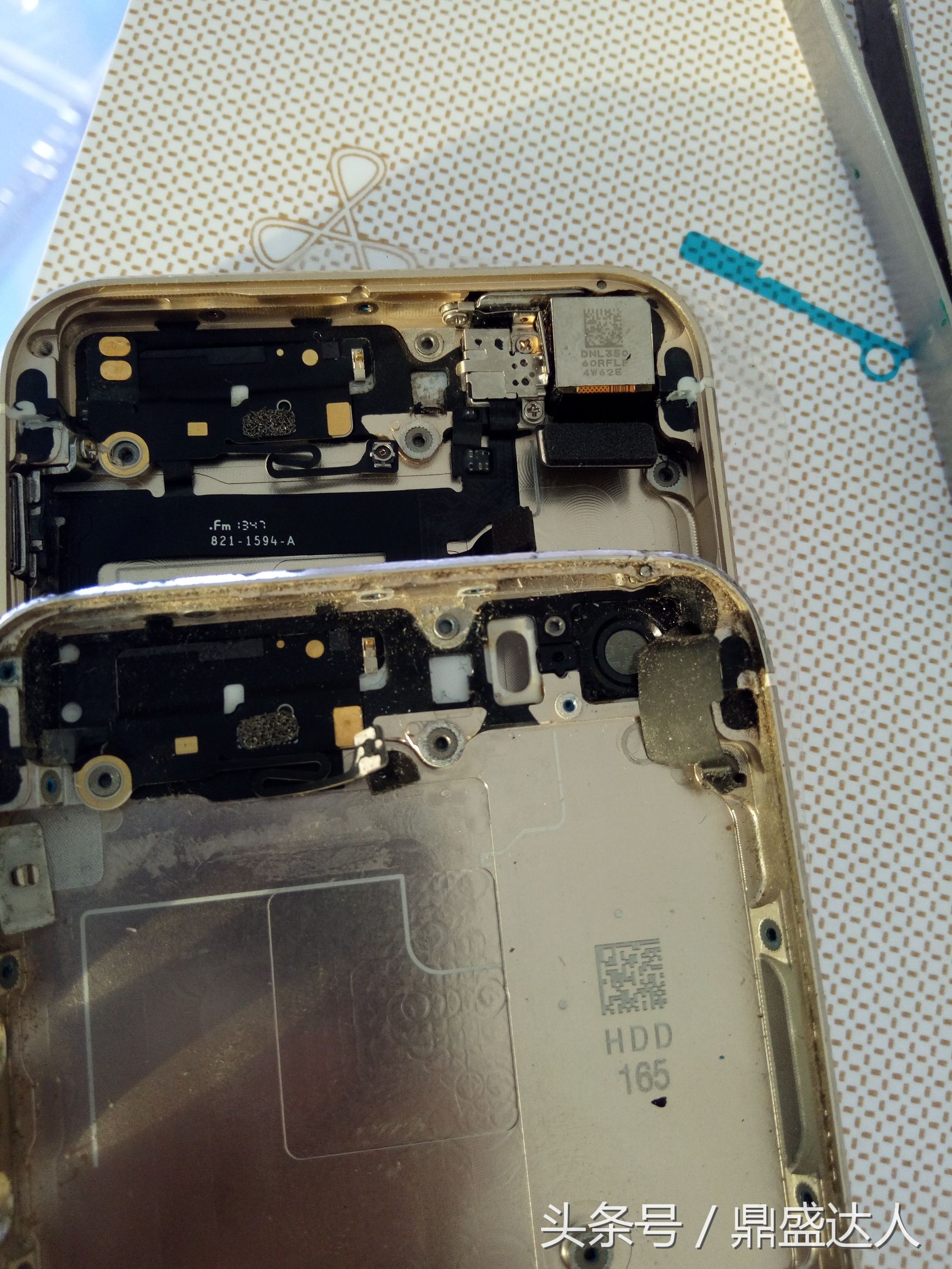 苹果5s拆机换扬声器,5s拆机换壳教程