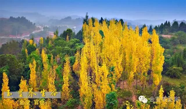 航拍金堂玉皇山,玉皇山登高金堂