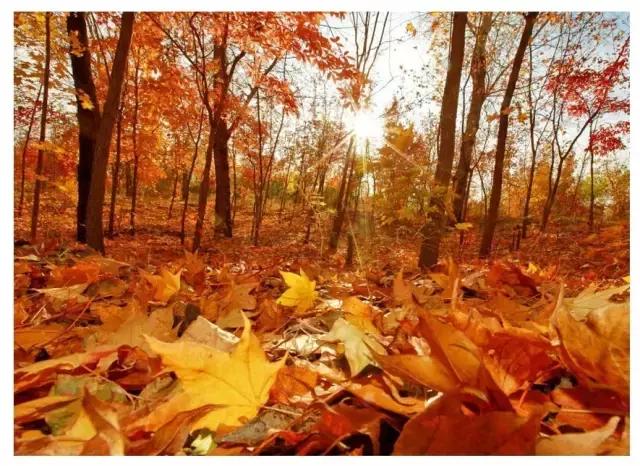 看皮炎好的医院,各种皮炎的福音