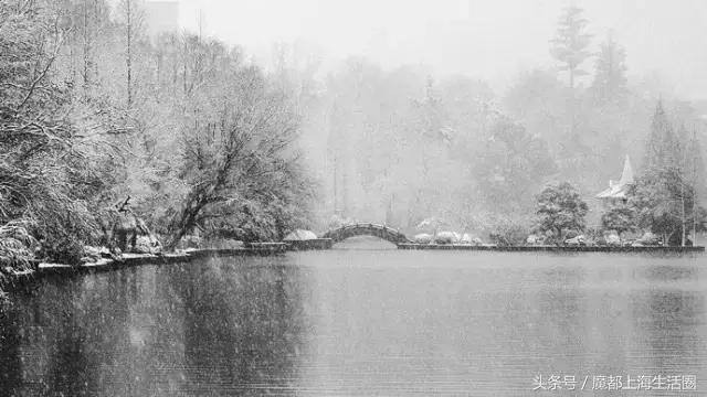 合肥哪下雪了,合肥一定要下雪吗