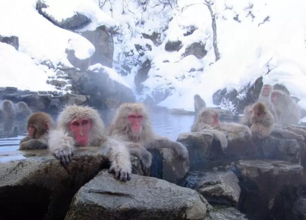 泡温泉拍照姿势的摆法,泡温泉自己拍照姿势