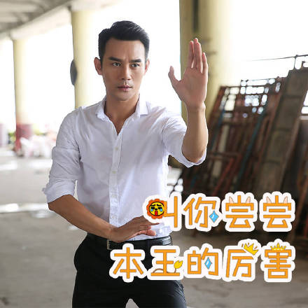 王凯靖王帅气,王凯王鸥表情包