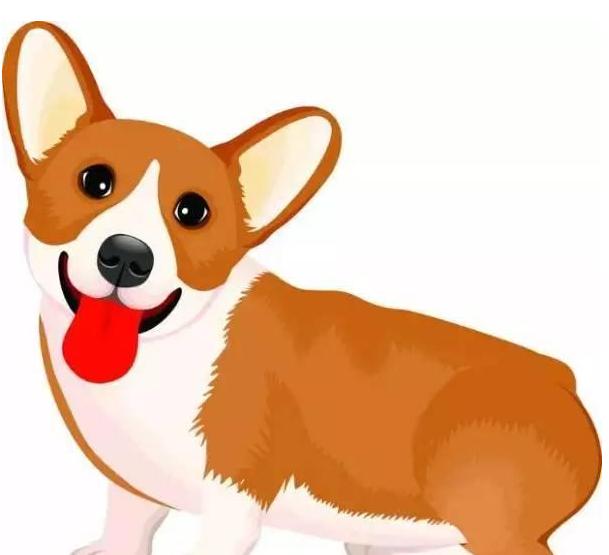 前途似锦打一生肖,好运连连前途似锦