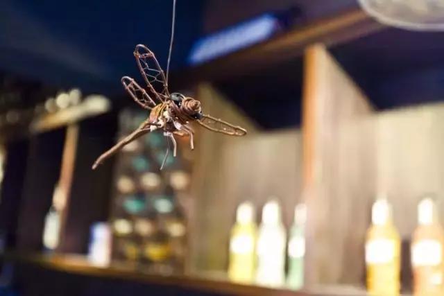 他颠覆我们心中理工男的形象，砸锅卖铁造民宿价格却低的惊人！