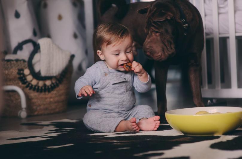 怎么给孩子调时差,如何给小孩倒时差