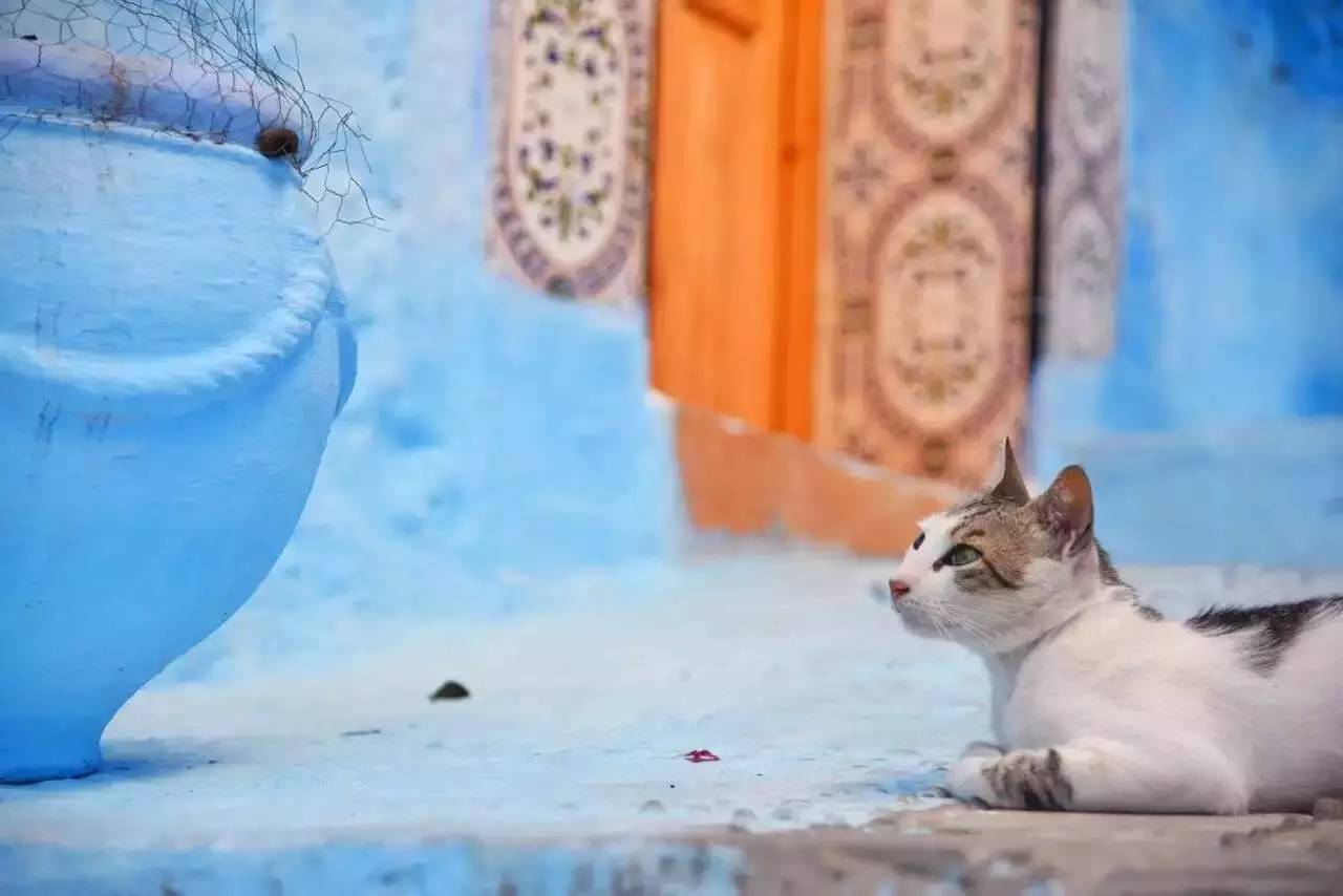 谁在美化美国,谁在美化齐淑芳