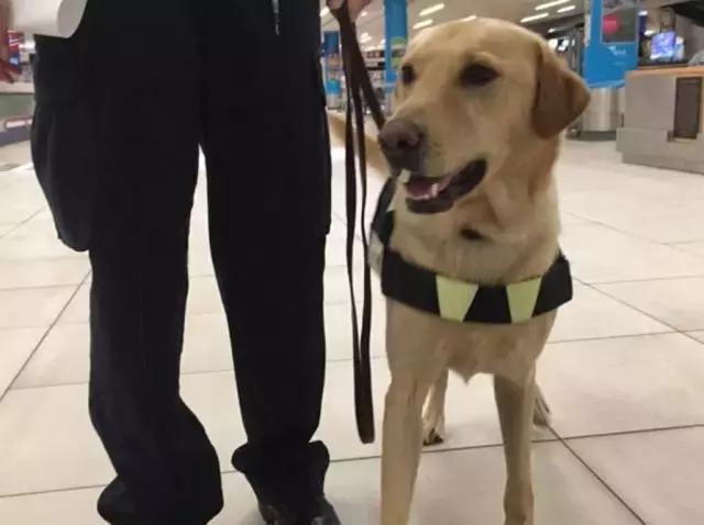 加拿大海关一般检查什么,加拿大海关违禁物品