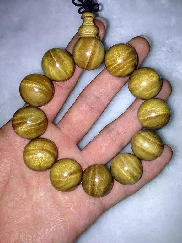 金丝楠木四大名树,金丝楠属于什么木类