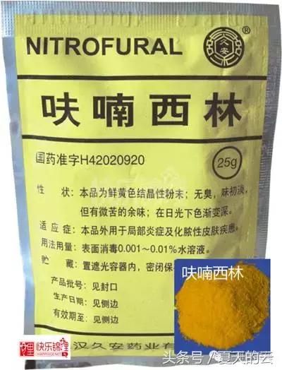 那些你不知道的副业,那些你不知道的观赏鱼