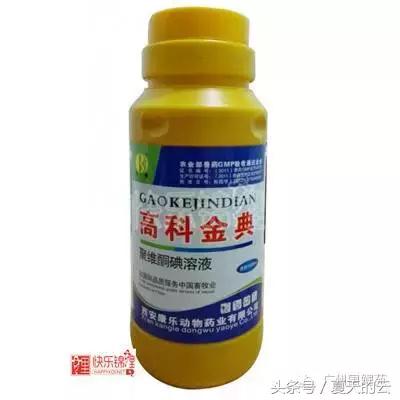 那些你不知道的副业,那些你不知道的观赏鱼