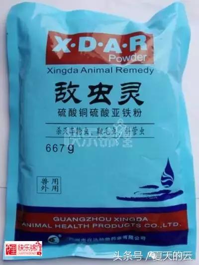 那些你不知道的副业,那些你不知道的观赏鱼