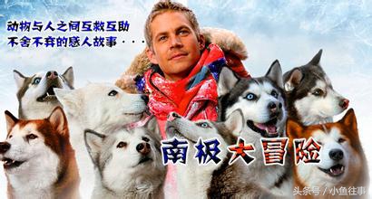 这些年让我感动流泪的电影