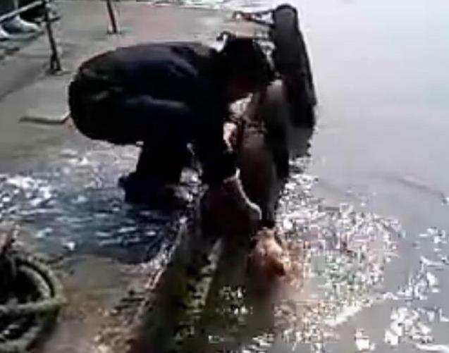 主人给狗狗洗澡溅一身水,男子给狗狗洗澡吹毛