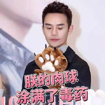 王凯靖王帅气,王凯王鸥表情包