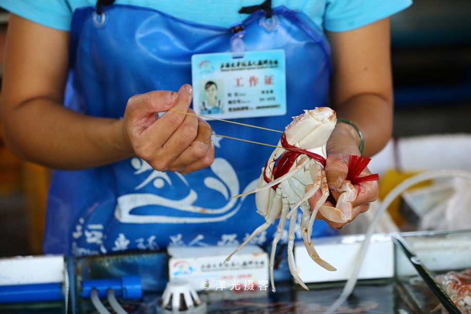 现在的三亚海鲜市场,海鲜市场发现什么东西