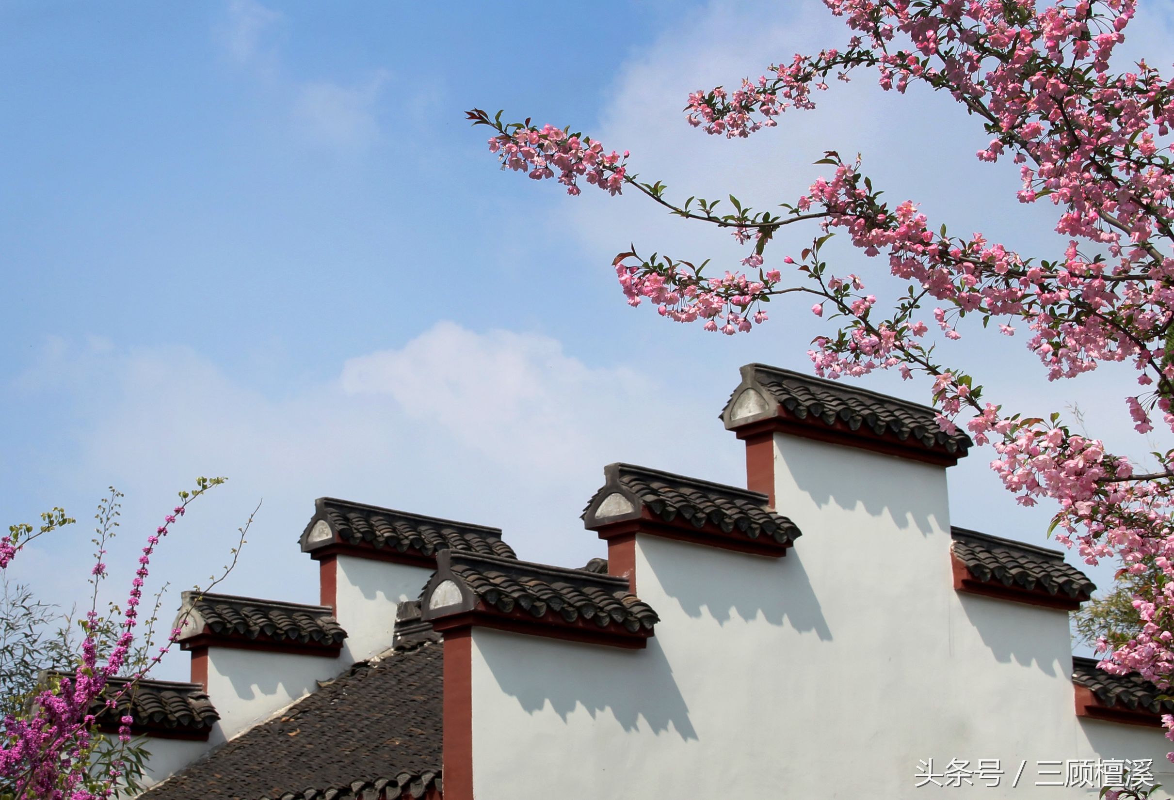 一寸相片拍摄技巧,证件照片的拍摄技巧和关注的问题