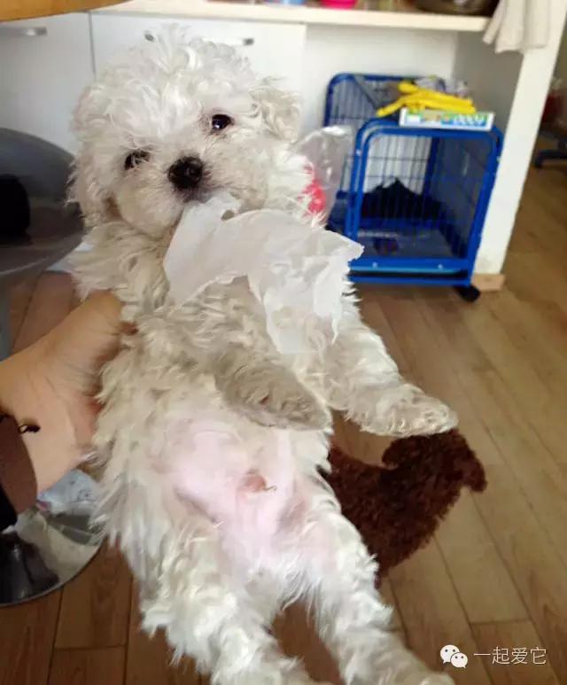 宠爱故事全集,宠爱讲故事