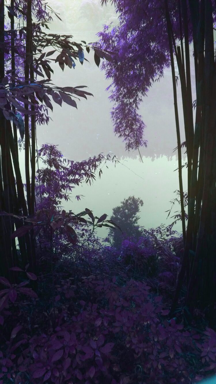 四大佛教名山四川峨眉山介绍,峨眉山