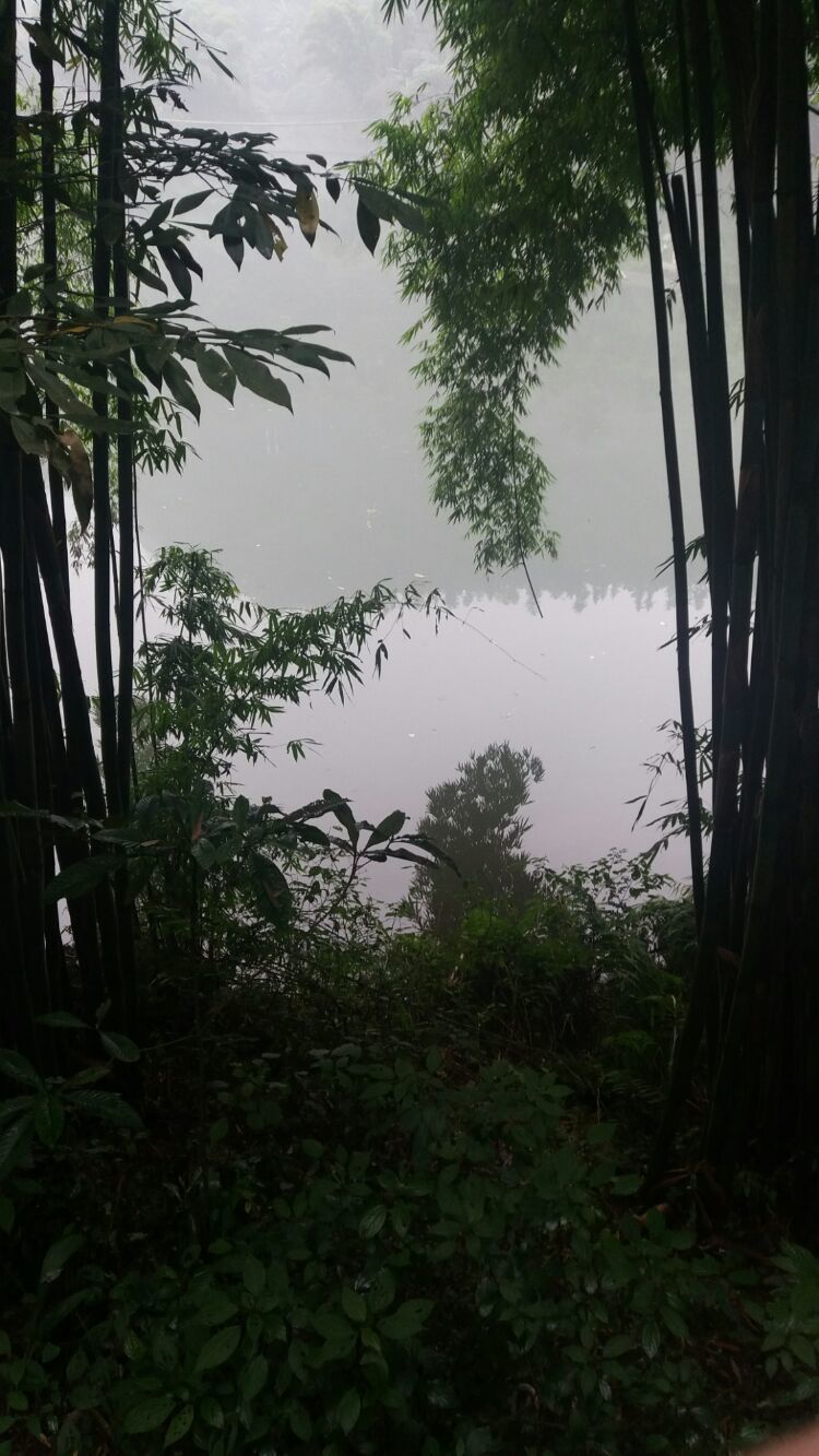 四大佛教名山四川峨眉山介绍,峨眉山