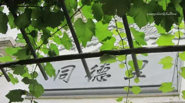 苏州平江路网红打卡地,苏州十大名街