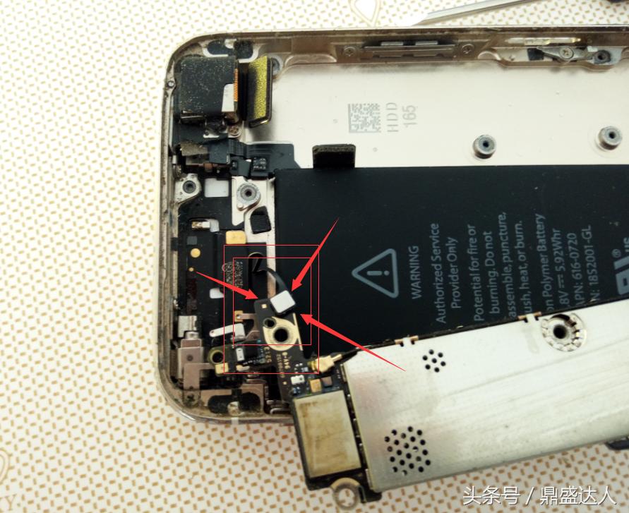 苹果5s拆机换扬声器,5s拆机换壳教程