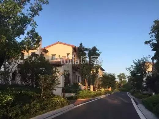 度假别墅轰趴江浙沪,度假式别墅轰趴