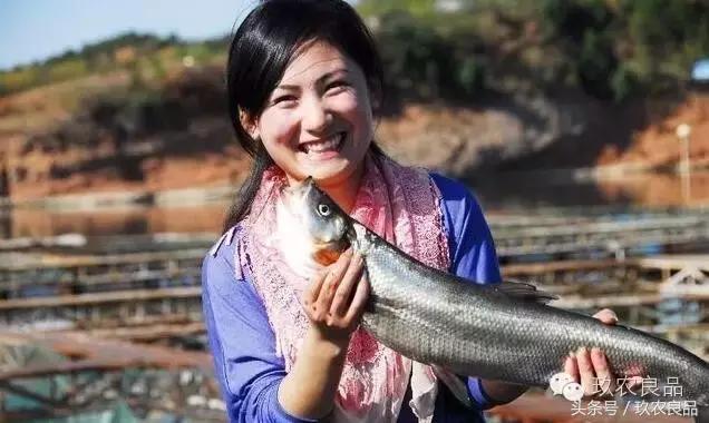 授之以鱼不如授之以渔典故,授人以鱼更要授人以渔什么意思