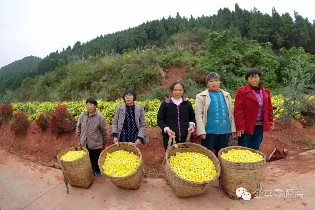 航拍金堂玉皇山,玉皇山登高金堂