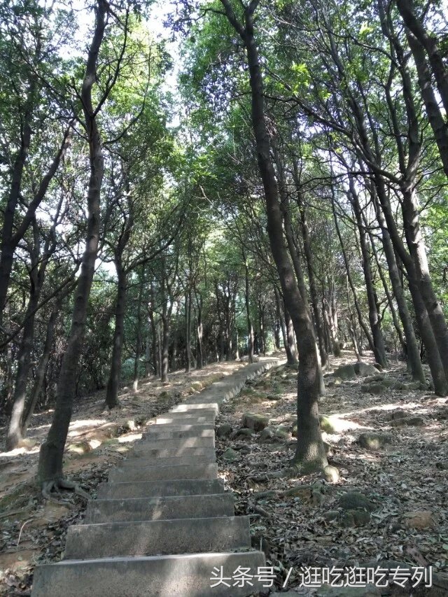 广州火炉山森林公园游玩攻略,广州火炉山徒步完整版