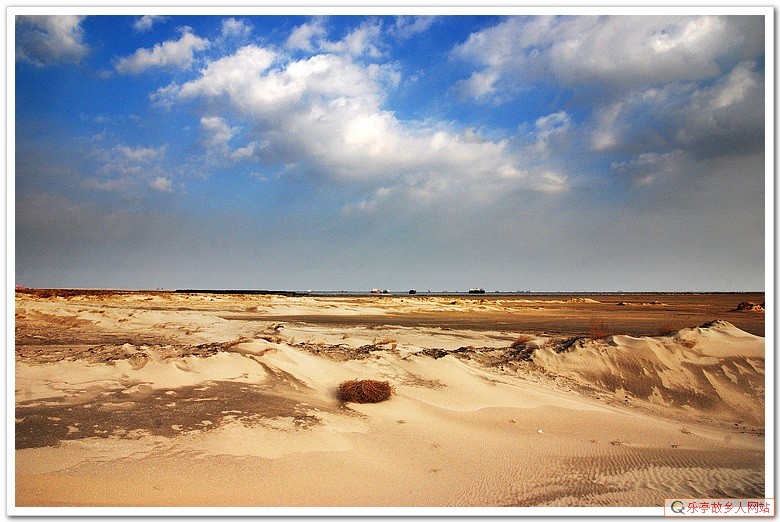 5年前的今天：初冬，如梦如幻的浅水湾（原乐亭辖区）