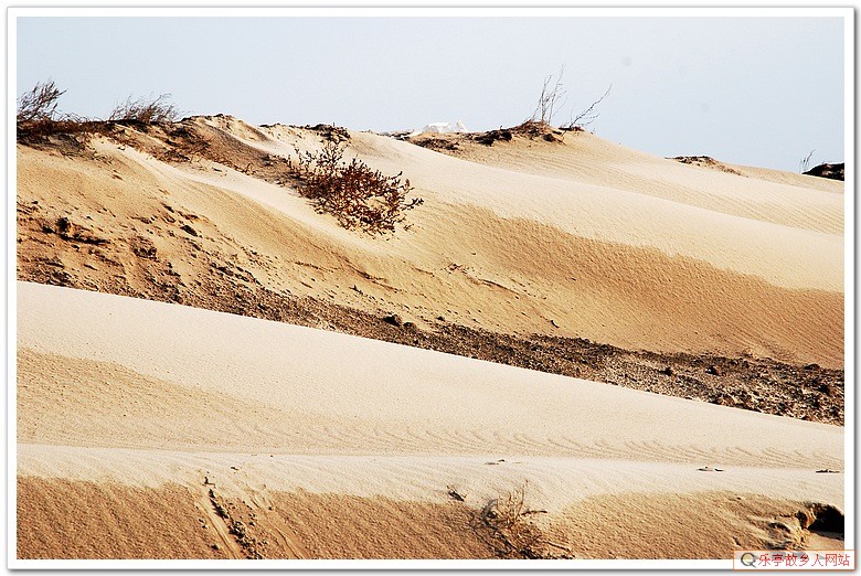 5年前的今天：初冬，如梦如幻的浅水湾（原乐亭辖区）