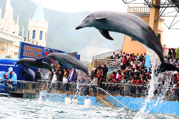 深圳小梅沙海洋世界游乐,深圳小梅沙海洋世界一日游