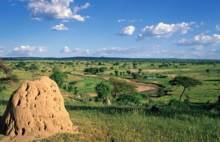 “潜力股”沙弗莱石，拿什么实力叫嚣祖母绿