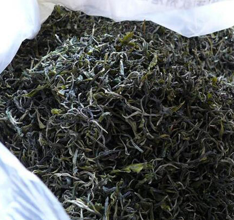 运动鞋除臭最有效的妙招,运动鞋除臭最好的方法