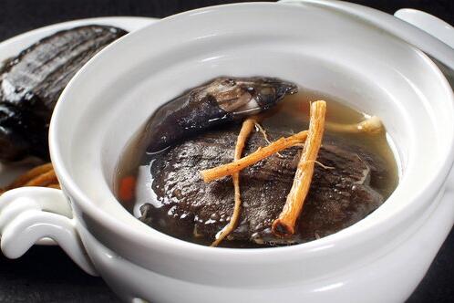 孕妇能吃甲鱼吗有什么好处,公鳖和母鳖哪个营养价值高