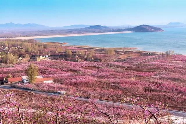 临沂有哪些不为人知的地方,临沂真是个神奇的城市