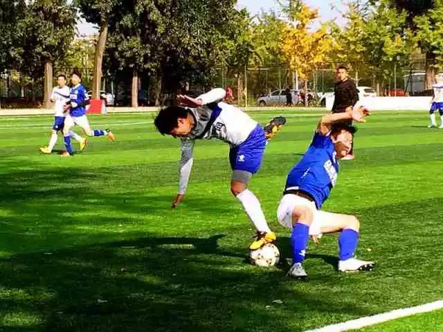 我眼中的足球世界,我眼中的足球世界杯