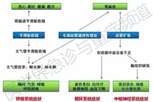 过敏性休克,过敏性休克短时间内出现的症状