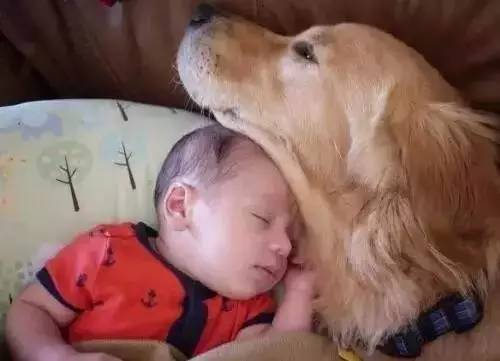 又软又舒服的可爱抱枕,让你幸福感爆棚的可爱抱枕