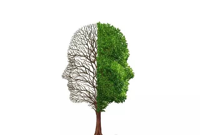 看看你的孩子是什么性格,看看你孩子是什么性格