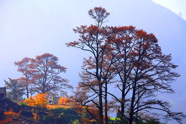 秒杀旅行第二弹|11个爆款脱单地，剁手价￥11诗画浙江任你游！