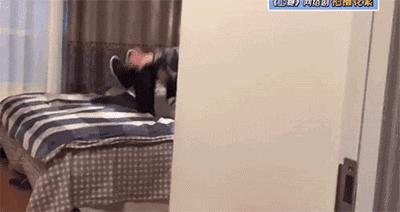 这个男人太神奇！会唱会跳有腹肌，还会边织毛衣边撒娇···