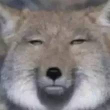 为什么学钢琴是个坑,钢琴十级好考吗