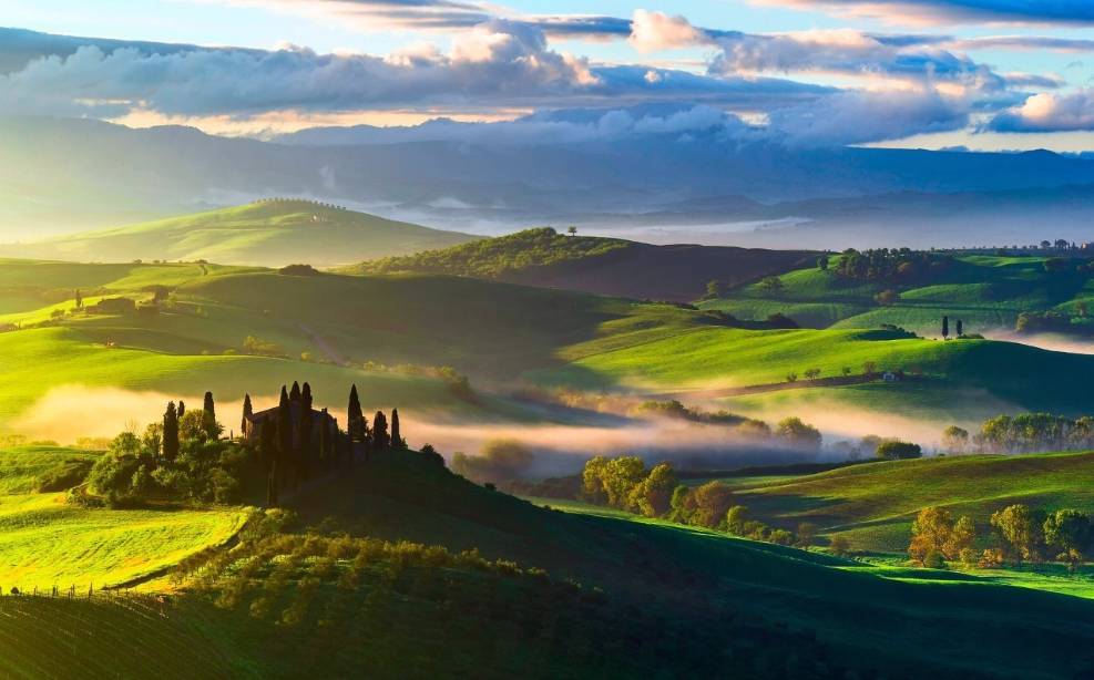 松露口味是什么特点,松露的味道为什么会让人终身难忘