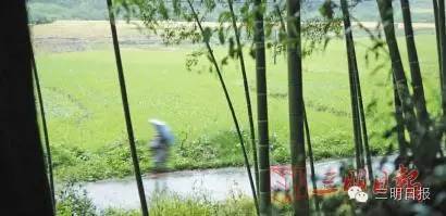 47岁的他出生三明农家，早年辍学，如今却办了个人博物馆